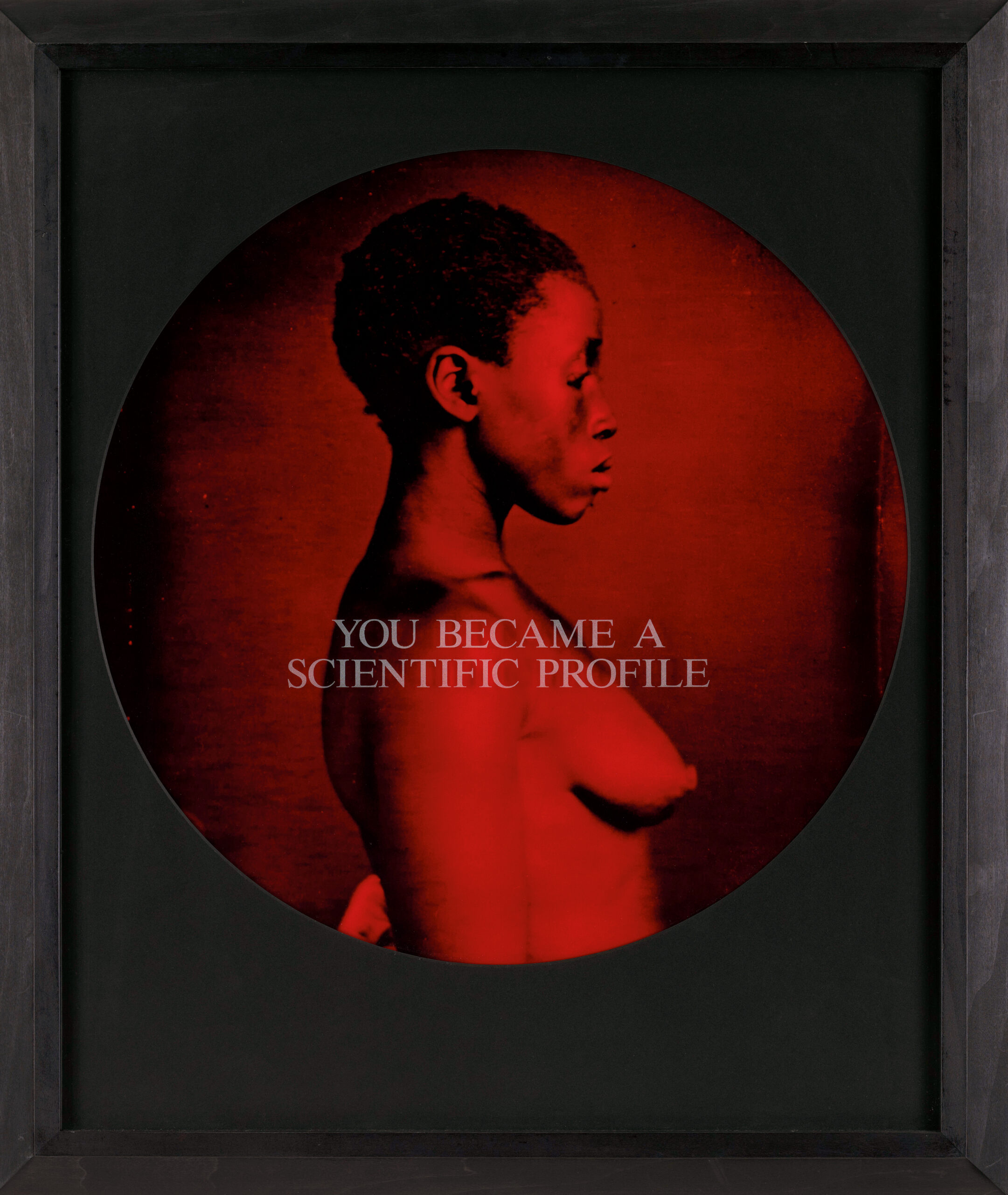 You Became a Scientific Profile, from the series From Here I Saw What Happened and I Cried, 1995 – 96