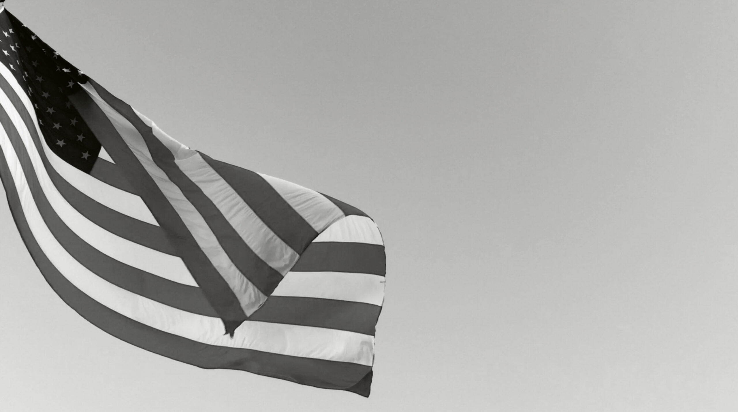 The Search, 2020 (video stills)