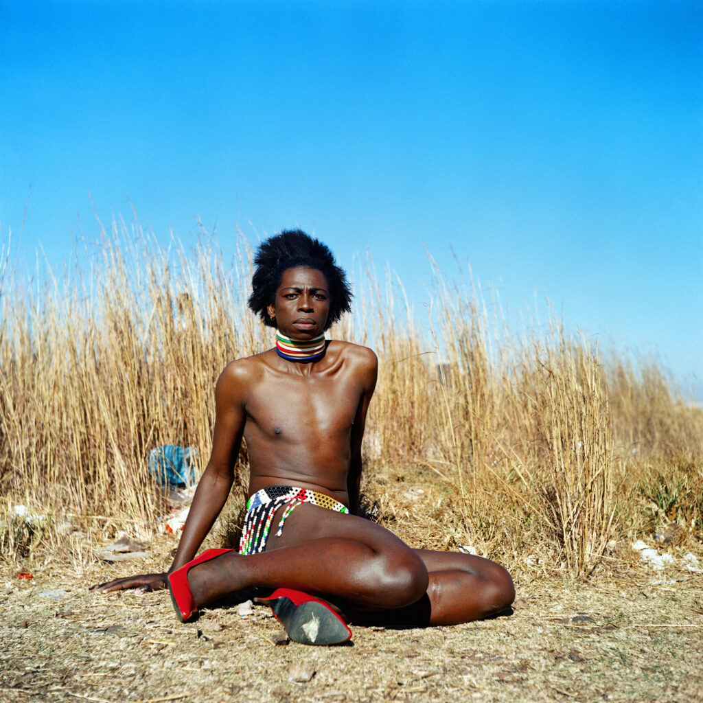 Miss D’vine I, 2007